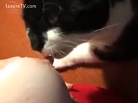 [ Zoo Porn DVD ] Kitty Loves Linking her Big Nipples
